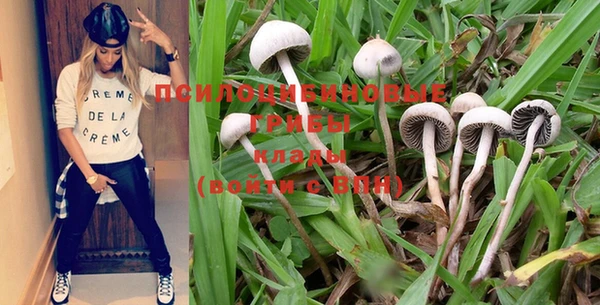 хмурый Богданович