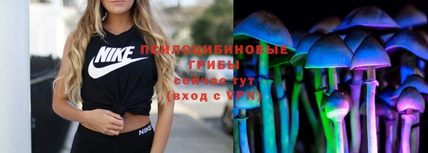 хмурый Богородск