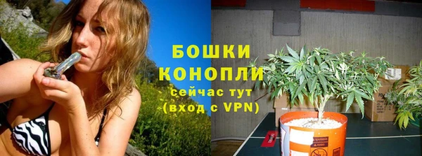 хмурый Богородск