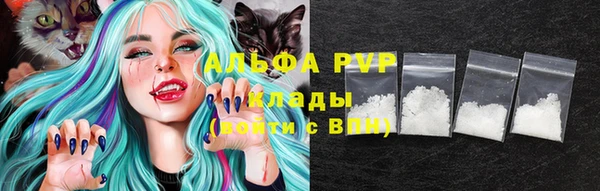 хмурый Богданович