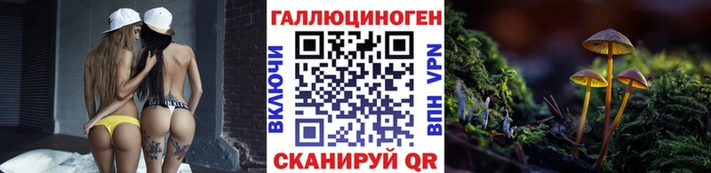 Псилоцибиновые грибы Psilocybine cubensis  Купить где  Боровск 